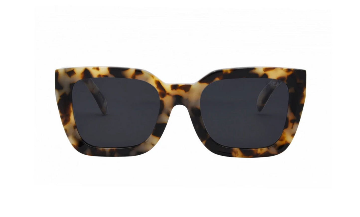 ALDEN SUNGLASSES
