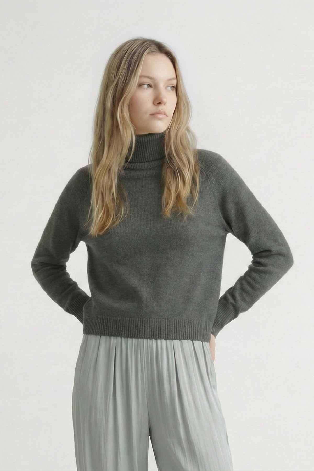 PUGLIESE TURTLENECK SWEATER