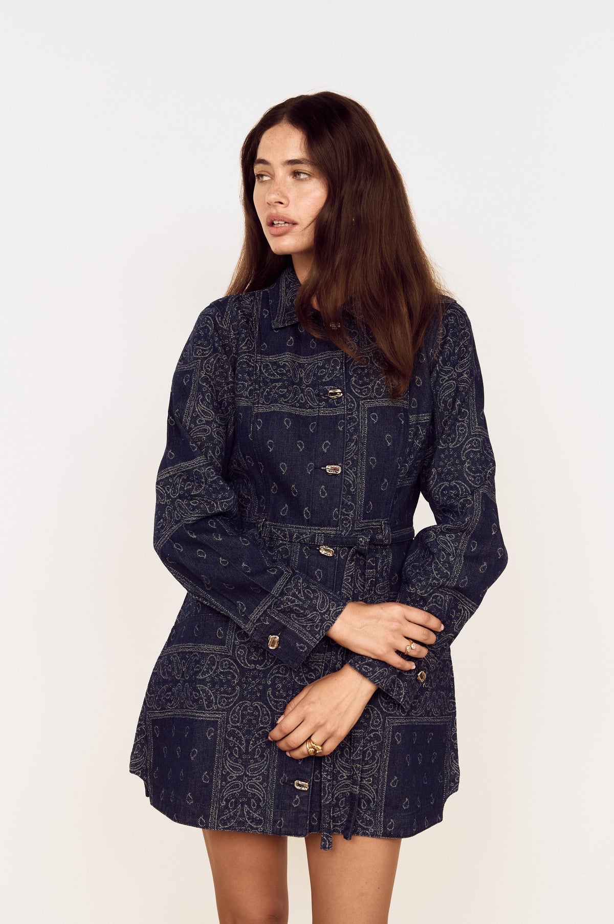 DELPHI JACQUARD DENIM DRESS