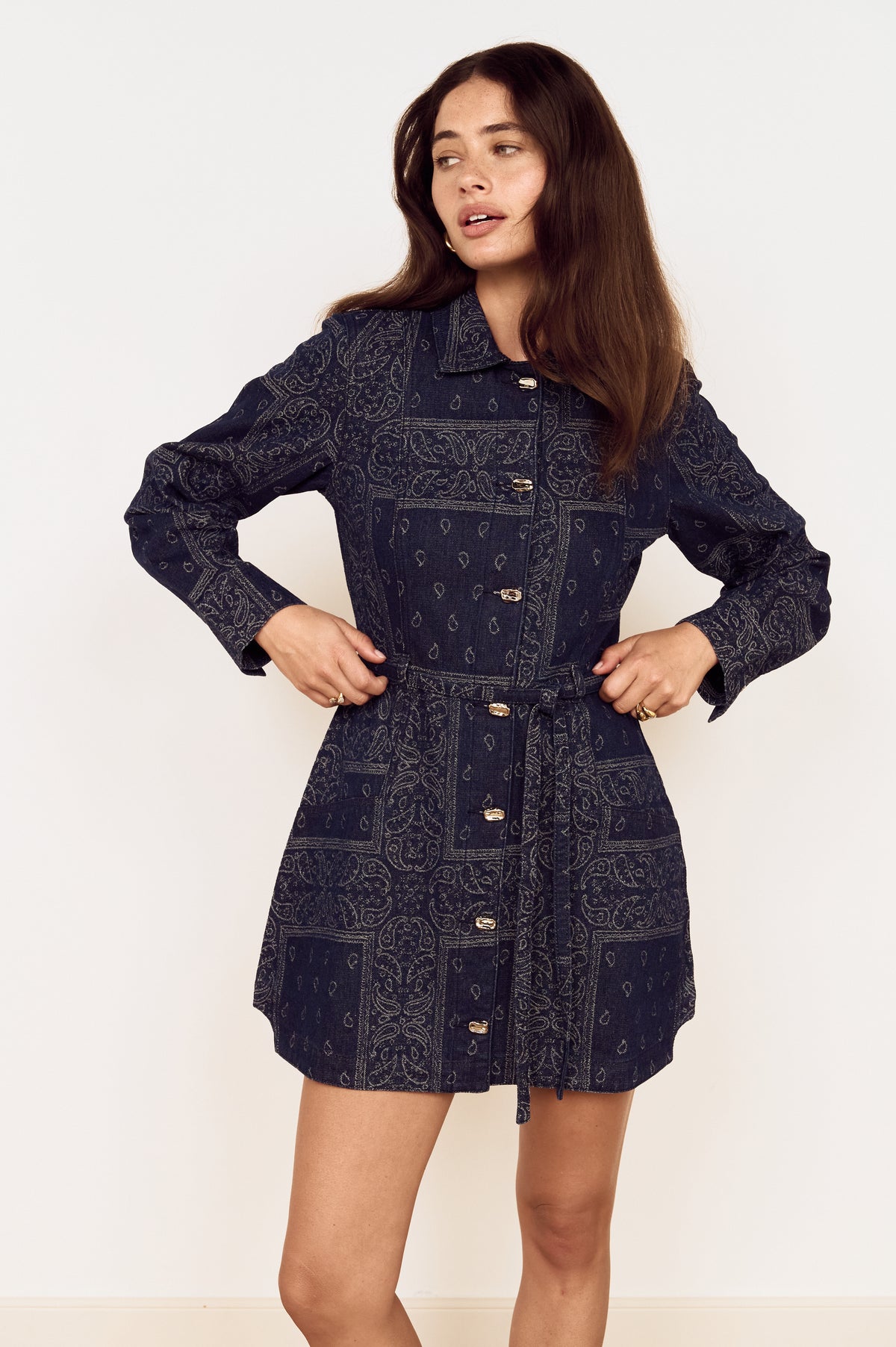 DELPHI JACQUARD DENIM DRESS
