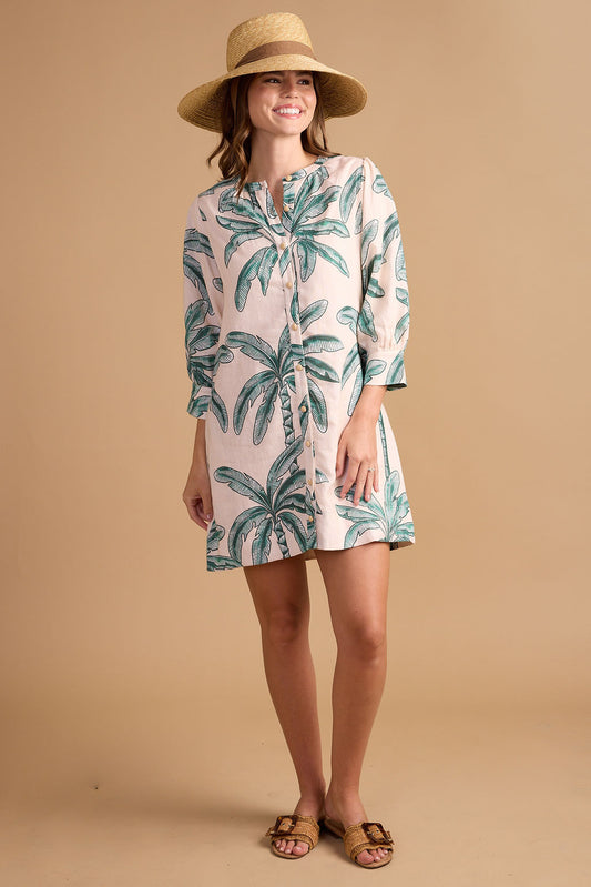 Coconut Palm