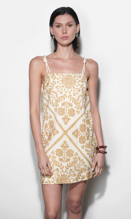 Nadine Scarf Print Mini Dress