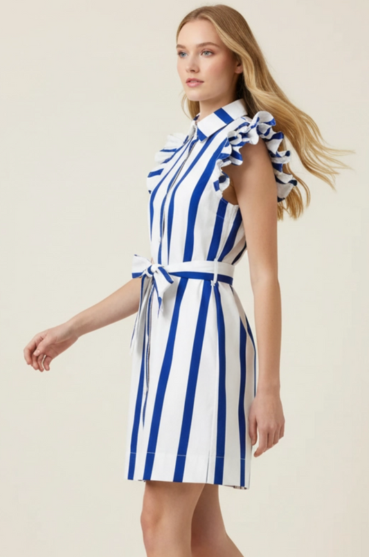 STRIPED BUTTON DOWN MINI DRESS