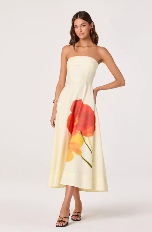 XIMENA DRESS