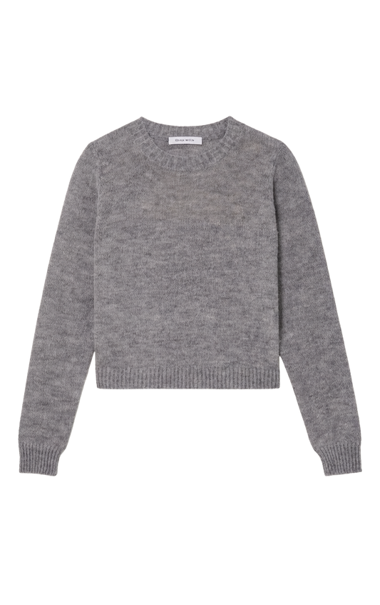 SHEER BLOCKED LONG SLEEVE CREW