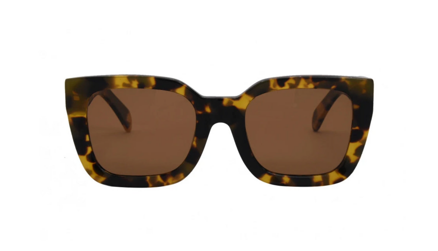 ALDEN SUNGLASSES