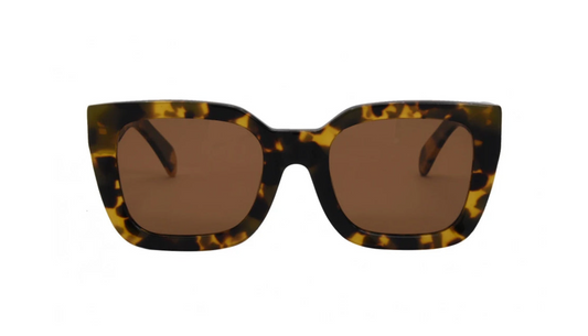 ALDEN SUNGLASSES