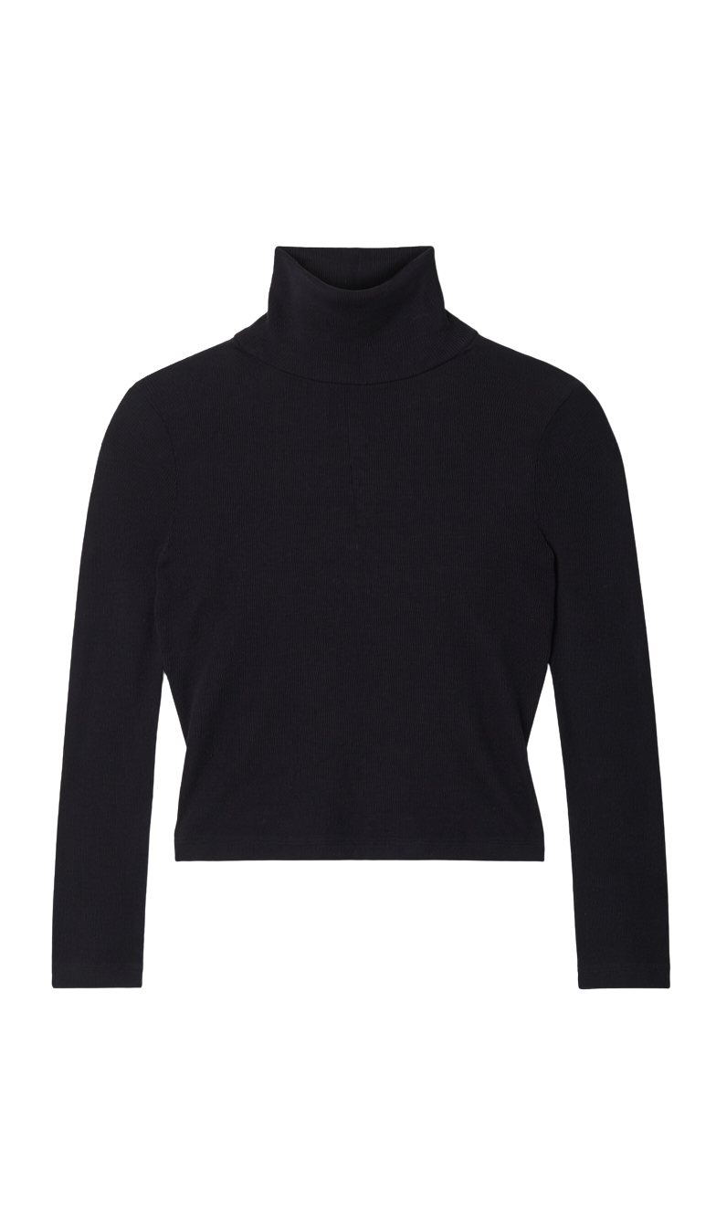 LONG SLEEVE CROP TURTLENECK SWEATER