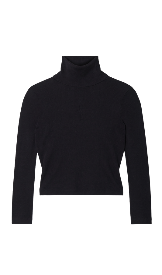 LONG SLEEVE CROP TURTLENECK SWEATER