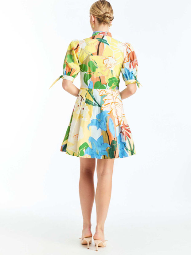 BROOKLYN MINI DRESS